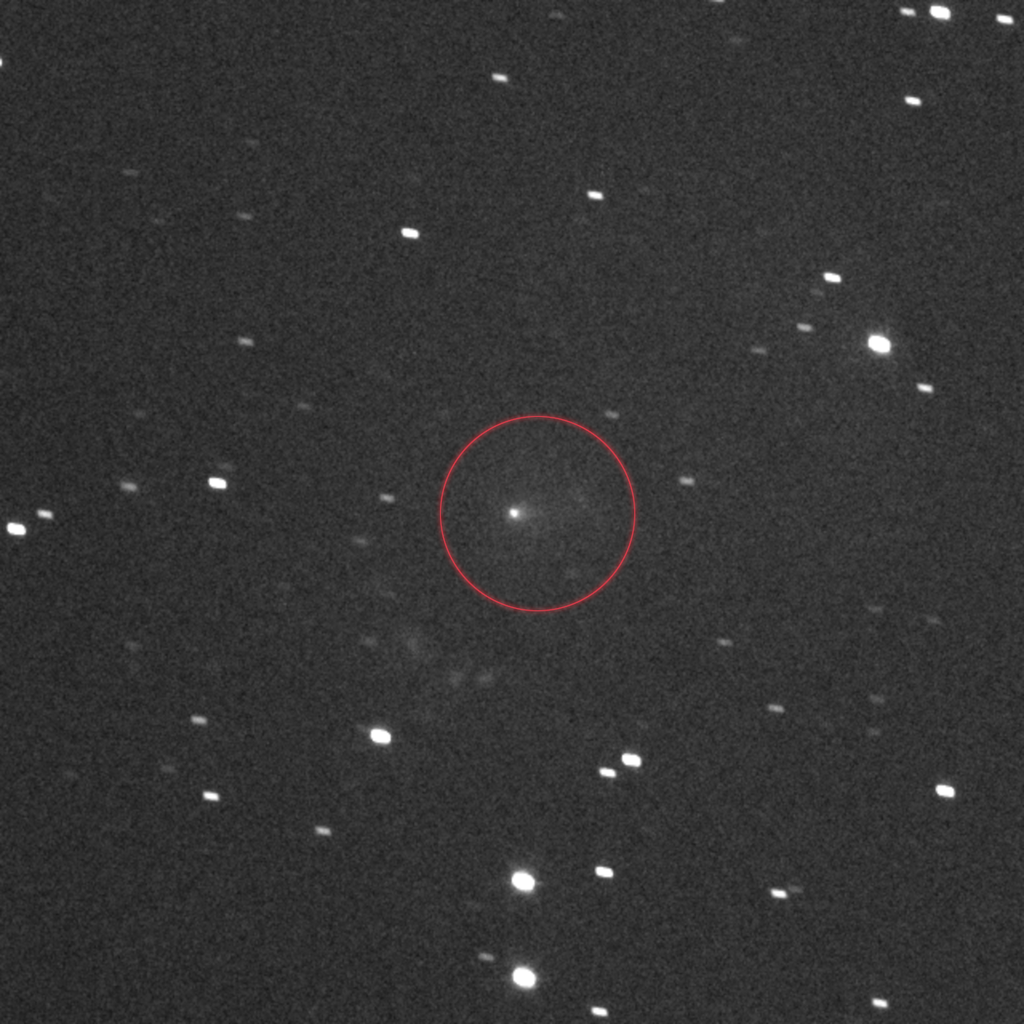 A comet in the middle of a star field with a faint tail extending to the right.
